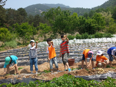 압화목걸이 만들기, 감자케기 체험 첨부파일 : 1578462736.jpg